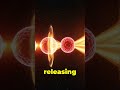 Fusion vs. Fission: Future of Energy Explained #shorts