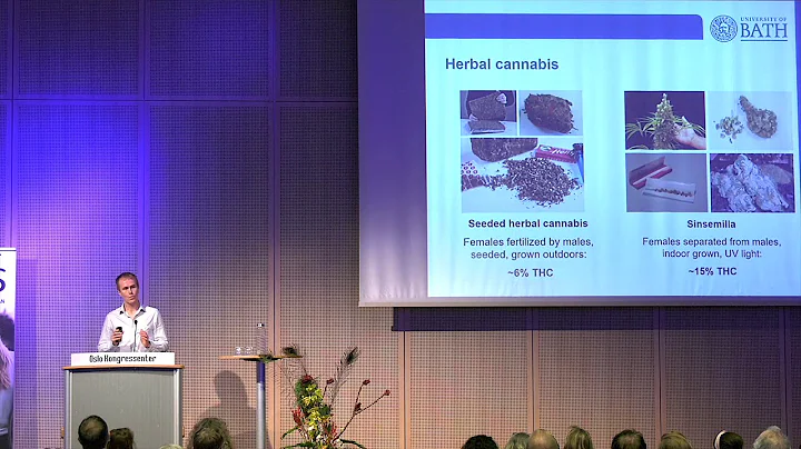 Tom Freeman - Effects of cannabis potency and CBD ...