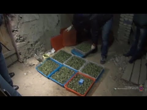 Задержание наркобарона в Волгограде