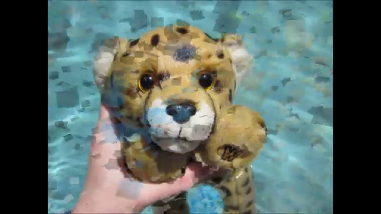 webkinz cheetah