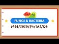 Understanding Fungi and Bacteria