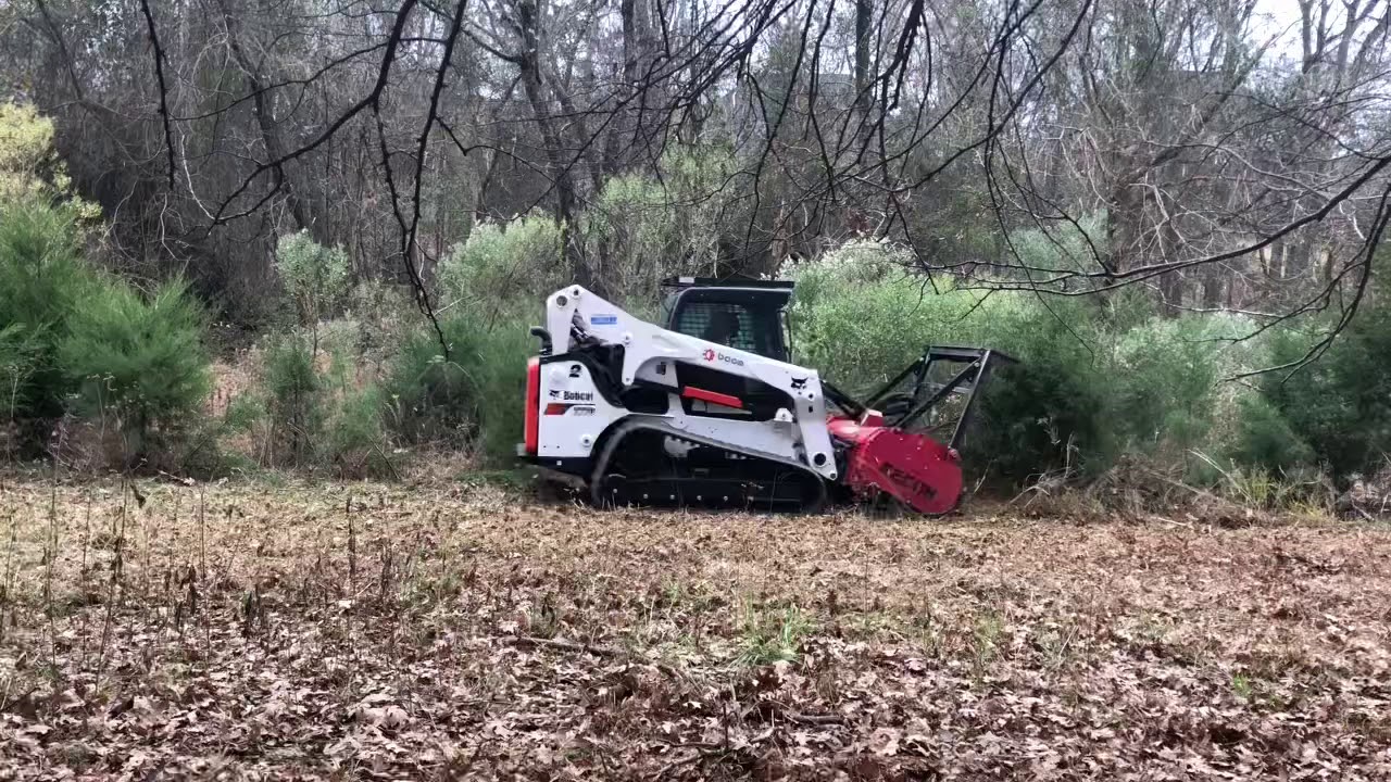 Right-of-way clearing