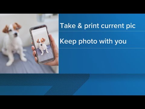 Prepping you pets for hurricane season - YouTube