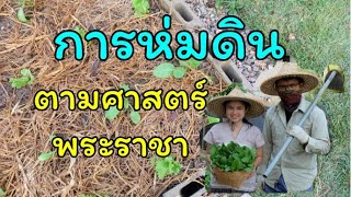 การคลุมดิน ห่มดิน ตามศาสตร์ของพระราชา