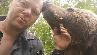 Нежность этого огромного медведя удивительна. / The tenderness of this huge bear is amazing.