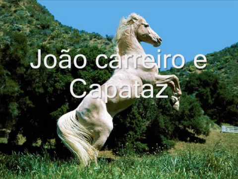 Bruto Rustico e sistematico-João Carreiro e Capataz JARDIM