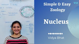 Nucleus | Structure | Nuclear envelope | Pore | Nucleoplasm | Matrix | Chromatin fibre | Nucleolus