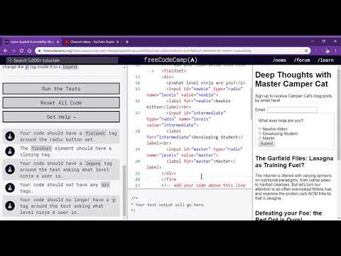 Learn Applied Accessibility  Wrap Radio Buttons in a fieldset Element for Better Accessibility   fre