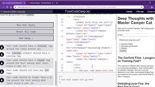 Learn Applied Accessibility  Wrap Radio Buttons in a fieldset Element for Better Accessibility   fre