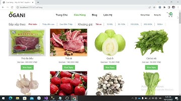 Shop Thực Phẩm Sạch - Đồ án lập trình web - Giải thích chi tiết "Login, Giỏ hàng, Dashboard" - NTTU