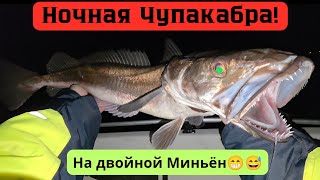 видео: Палтус хитрый а Мерлуза ловится The halibut is cunning but the hake gets caught. Norway fishing 2025 картинка: Палтус хитрый а Мерлуза ловится The halibut is cunning but the hake gets caught. Norway fishing 2025