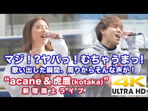 【4K】マジ！?ヤバッ！むちゃうまっ！歌い出した瞬間に周りからそんな声が！" acane＆虎鷹(kotaka) " 新宿路上ライブ 4K動画