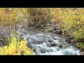 Fall Color in the Restored Side Channel