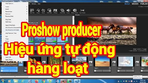 🔴Tạo Hiệu Ứng Tự Động Và Hàng Loạt Ảnh Cho Phần Mềm Proshow Producer✅