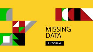 How to Handle Missing Data – Econometrics Tutorial Net Worth