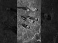 Trending viral shorts #brothers #siblings #viralshorts #viral #trendingshorts #trending