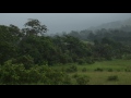 Rainstorm, Lopé National Park, Gabon