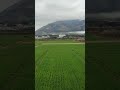 懐旧、舟木一夫さん「ジョニーの子守唄」。今日は曇りで伊吹山が見えませんでした、残念😞新幹線が見えますでしょうか?