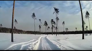 Зима. Январь. Мороз. Лес. Дорога. Просто красиво