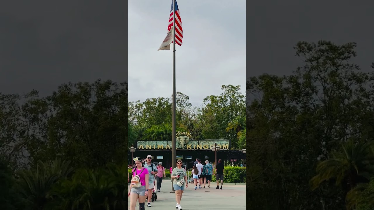 Who’s Rope-Dropping AK Today? 