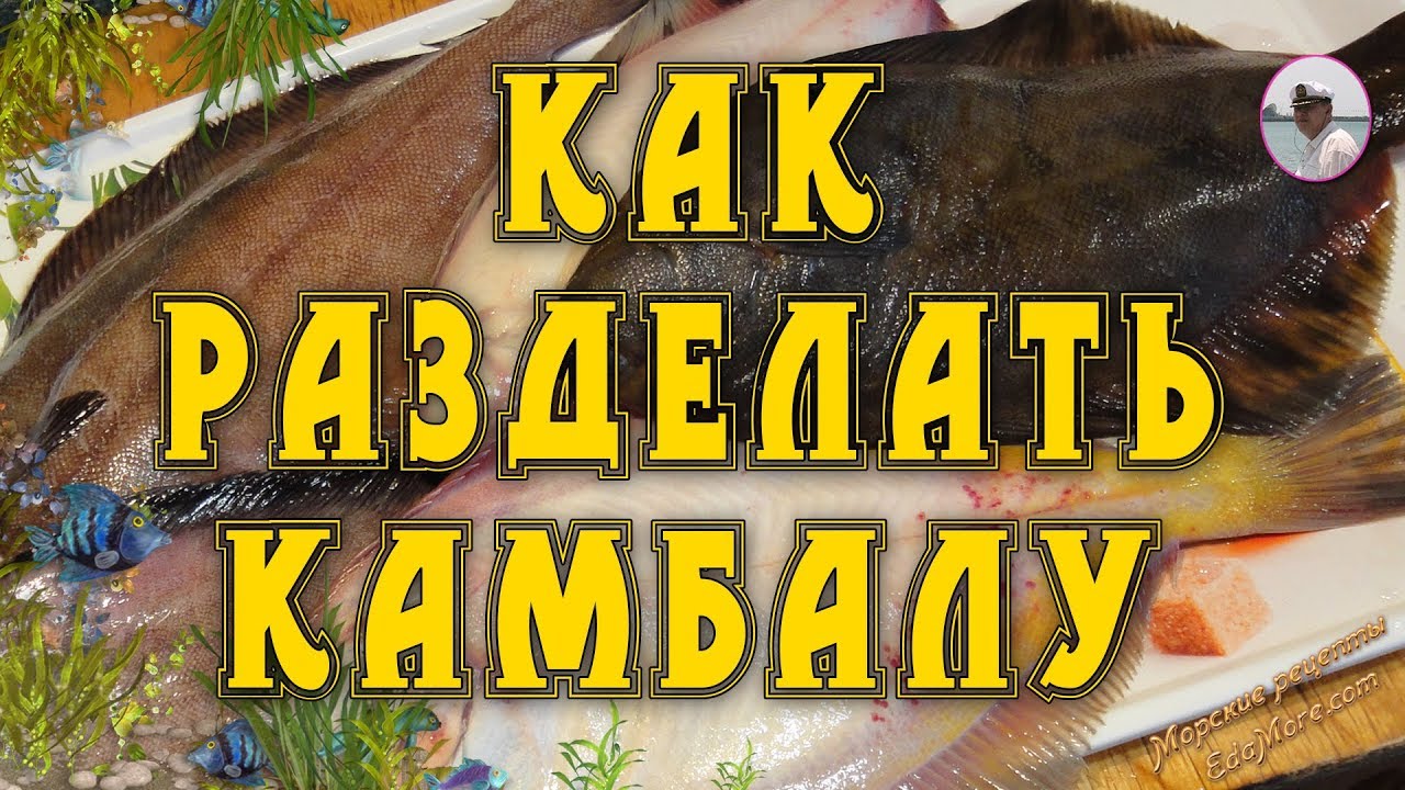 фото камбала рыба онлайн