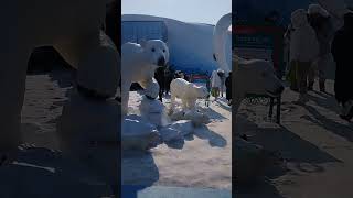 Play video: 29 January 2023 harbin snow festival I m fouzia HABIB