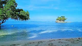 Oranges Farm Beach Resort Lawigan,Bislig City