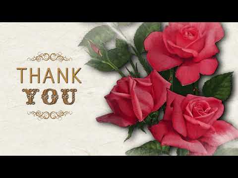Thank you! Спасибо тебе!💖 Анимационная открытка #WhatsApp