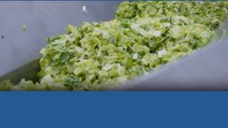 Cyclospora outbreak changes how Americans shop