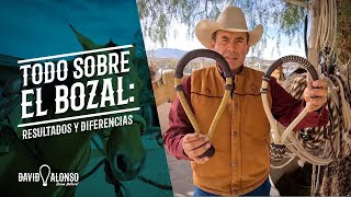 Todo sobre el bozal: resultados y diferencias