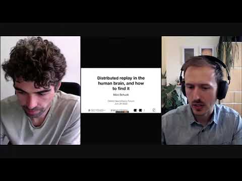 Distributed replay in the human brain, and how to find it recording thumbnail