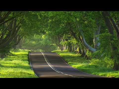 Nōpi — Dreamtime (Original Mix)