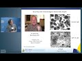 Sleuthing the Microbiome Reveals Undercover Agents of Oncogenesis