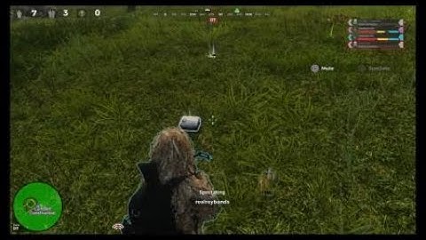 H1Z1 Explosion Sound Bug - Car