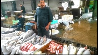 اتعرف علي اسعار السمك السويسي البلدي والنيلي وجميع انواع الاسماك بسوق العبور #سمك #سمك_السويس