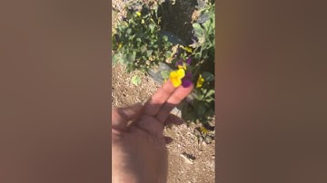 20 Marks in 1 Minute | Guaranteed Success | Dr. Vani Sood #shorts #neet