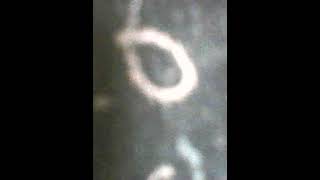 QUOTIENT AND PRODUCT OF THE L C M AND H C F OF 70 AND 126