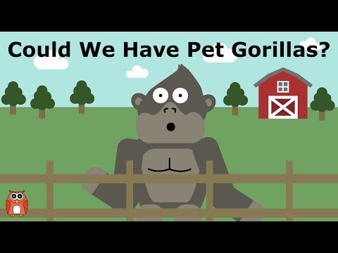 Video: Wild vs. Domesticated Animals: Proč Domestication nemá co dělat s tím, jak jsou nebezpečné zvířata