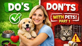 Do's and Don'ts With Pets screenshot 1