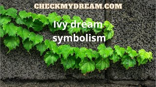 Ivy Dream Meaning A Sign Of Emotional Attachment Or Natural Growth?
