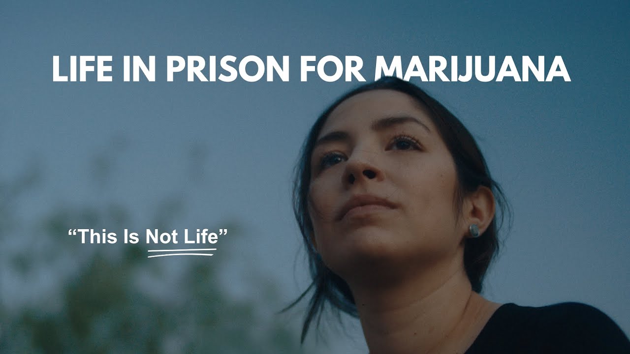 Life in Prison for Marijuana | “This Is Not Life”