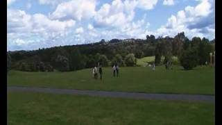 SDV_0017.MP4