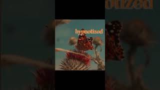Watch Weston Estate Hypnotized feat Marco Luka  Tanu video