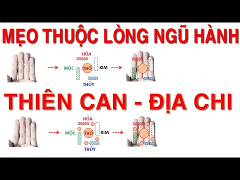 Tips to memorize the five elements: Heavenly Stems and Earthly Branches (Part 2) #fengshuiinhand - youtube