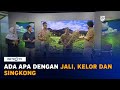 Kick Andy - Ada Apa dengan Jali, Kelor dan Singkong