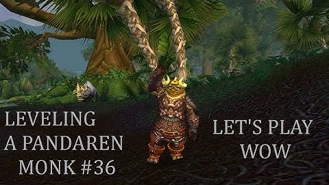2 Dungeons 1 BG Action | Leveling a Pandaren Monk ep.36 | Let