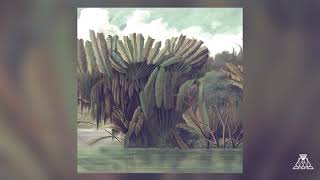 Xique-Xique - Tapete voador (Out!)