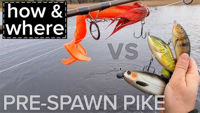 CHECK OUT THIS PIKE LURE! How to fish the Salmo Fatso when Pike fishing
