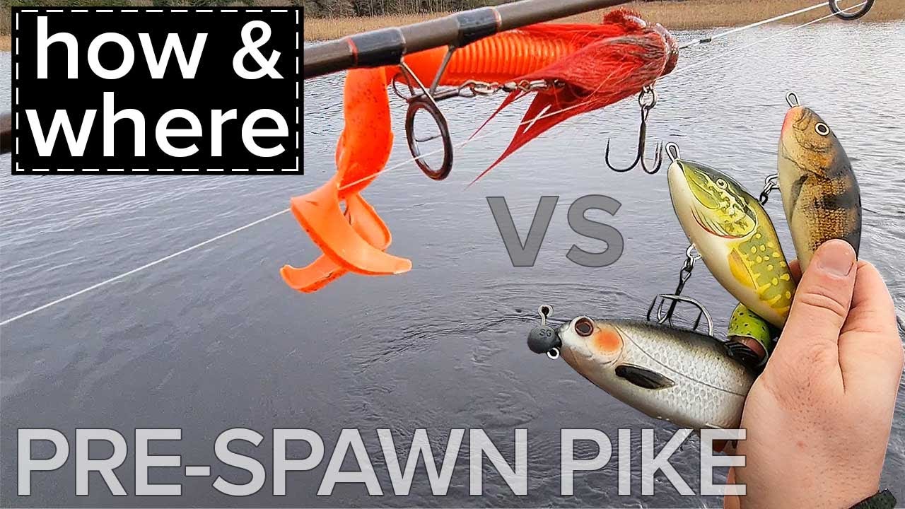 Pre-Spawn Pike Fishing Ireland. Tips, Lures, Methods & Where to Find Them.  