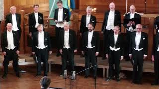 Majsång (O, hur härligt majsol ler)